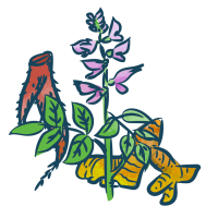 icon_plant